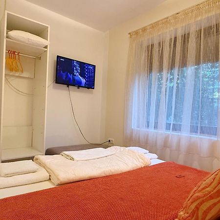 Villa Elita - Bela Crkva Bela Crkva  Ngoại thất bức ảnh